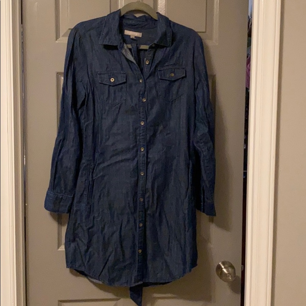 Banana Republic denim dress